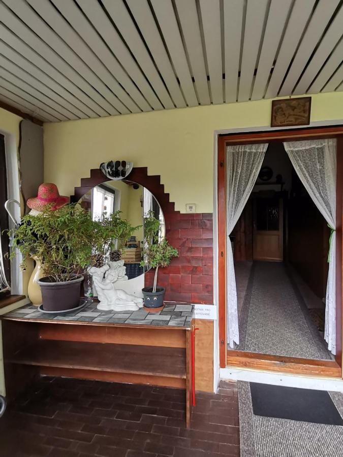 Apartman Ve Mlejne Nová Bystřice Extérieur photo