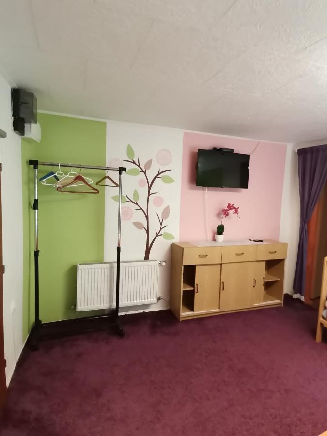 Apartman Ve Mlejne Nová Bystřice Extérieur photo