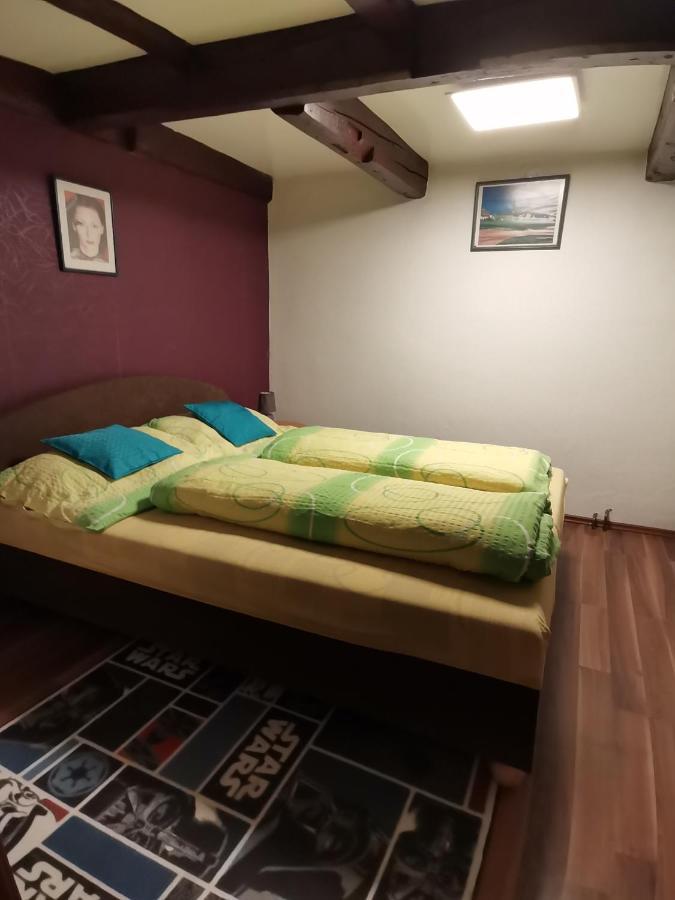 Apartman Ve Mlejne Nová Bystřice Extérieur photo