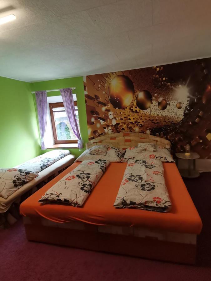 Apartman Ve Mlejne Nová Bystřice Extérieur photo