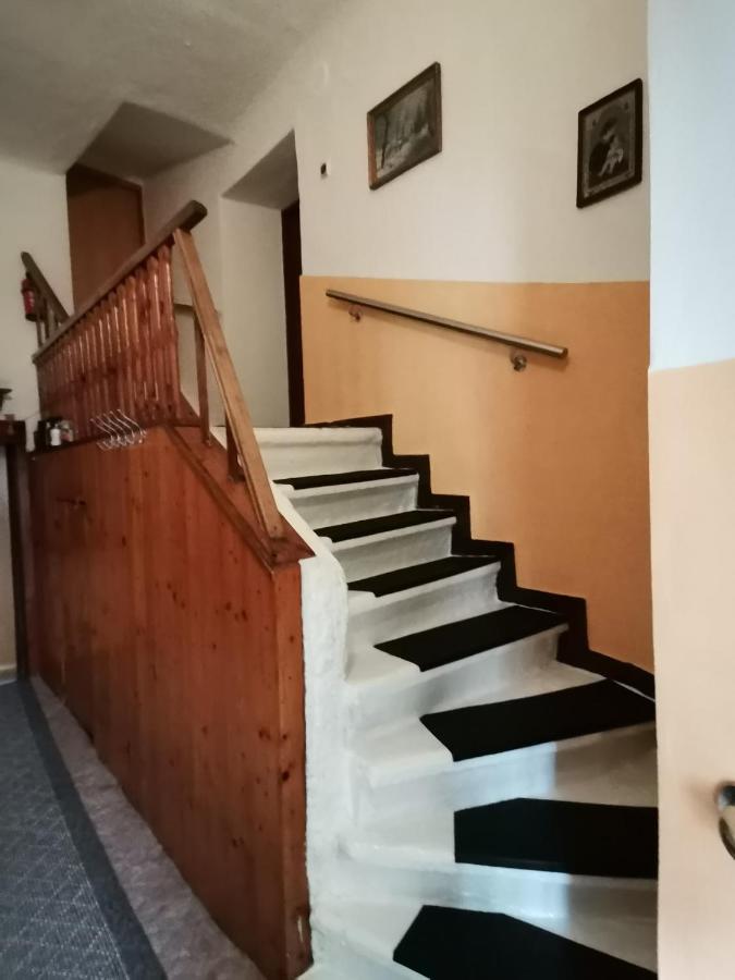 Apartman Ve Mlejne Nová Bystřice Extérieur photo