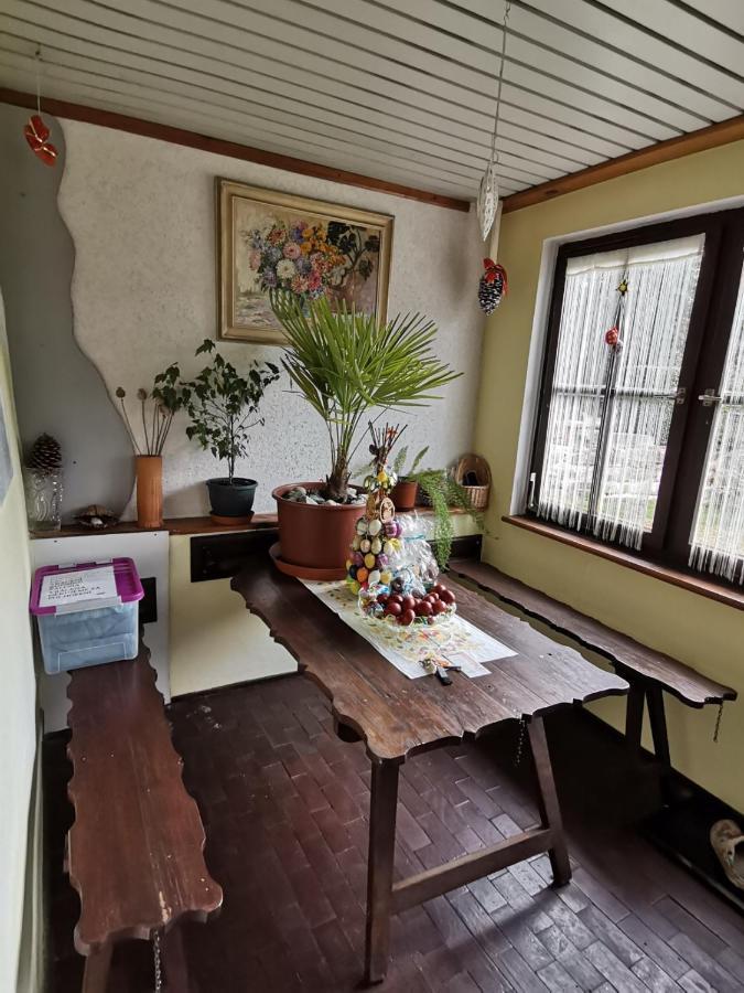 Apartman Ve Mlejne Nová Bystřice Extérieur photo