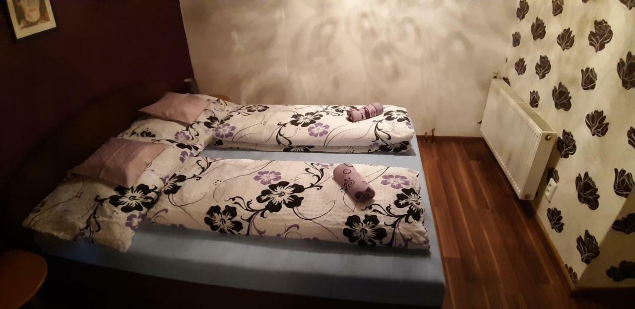 Apartman Ve Mlejne Nová Bystřice Extérieur photo